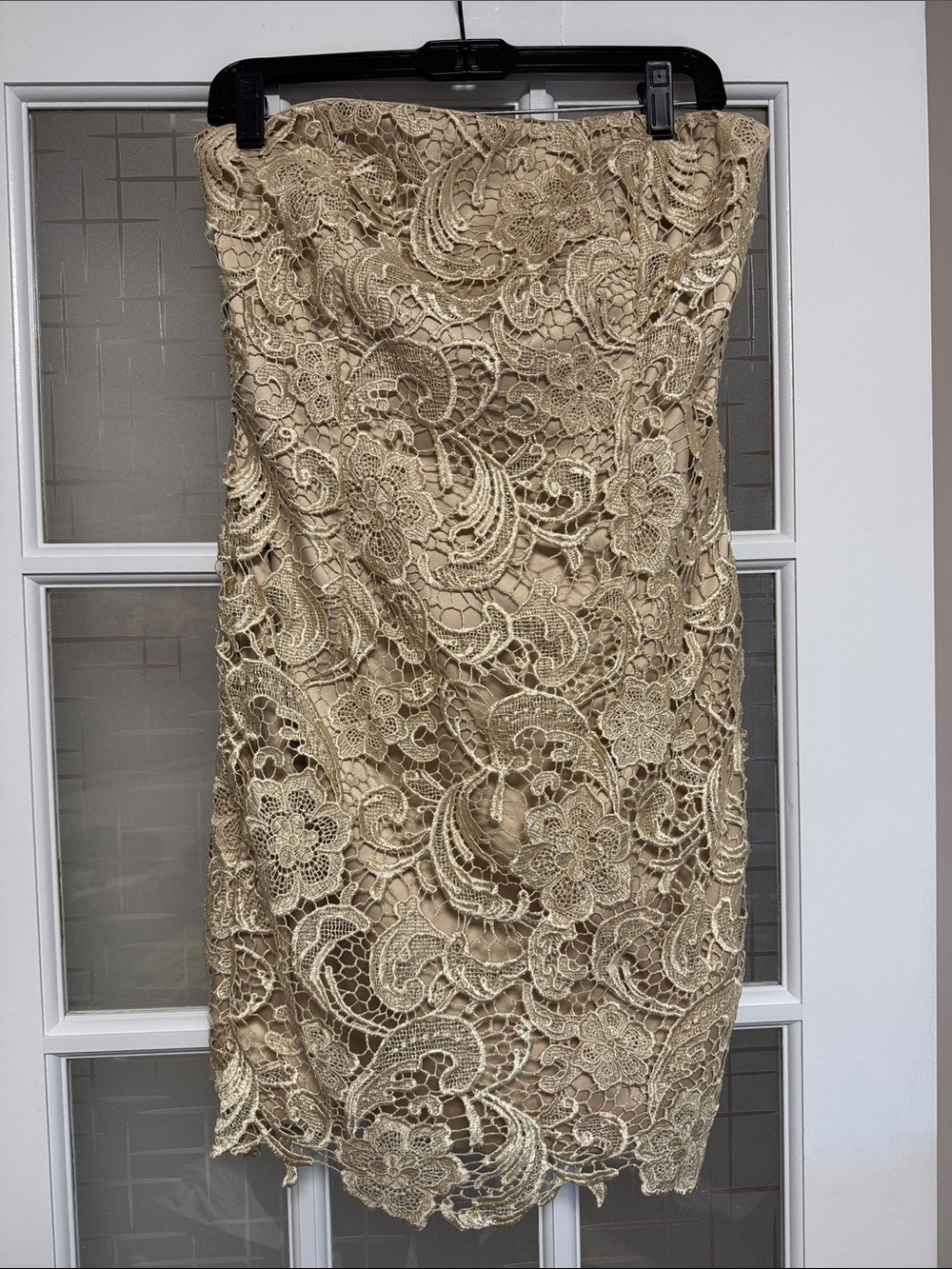 Cache Strapless Lace Sheath Dress in Beige